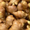今シーズンラスト【アウルの日限定】ハナコの生姜3kg 囲い生姜3kg