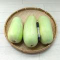 白瓜　約8.0㎏　農薬不使用（無農薬）露地栽培品 | 白瓜　約8.0㎏