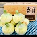 淡路島新玉ねぎ(七宝)  １０ｋｇ | 箱込み9.5kg