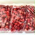 いちご農家直送ヘタなし【冷凍いちご500g×1袋】 | 【冷凍いちご500g×1袋】