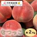 桃源郷錦　なつっこ桃　2kg箱(6〜8個入り) | 約2kg