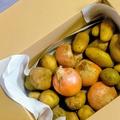 【無農薬】旬の野菜たっぷり！新じゃが（メークイン＆男爵）と新玉ねぎのお得セット【農園直送】 | メークイン 約1kg（目安10個前後）、男爵 約1kg（目安8個前後） 、玉ねぎ 約1kg（目安4個前後） ※大小混合でお届けする場合があります。