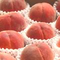 倍量・毎年大人気の山梨県産・家庭用桃2kg×2箱【約10～16玉＋2玉】 | 2㎏×2箱