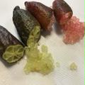 白木果樹園産　国産　フィンガーライムおまかせ　約100g | 100g