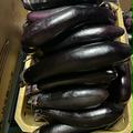 【訳あり】　長なす　群馬県東吾妻町産　4kg | 長なす　4kg