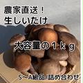 【大容量】お得な生しいたけ1kg詰め合わせ  秀〜優　M/Lサイズ | 1.0kg