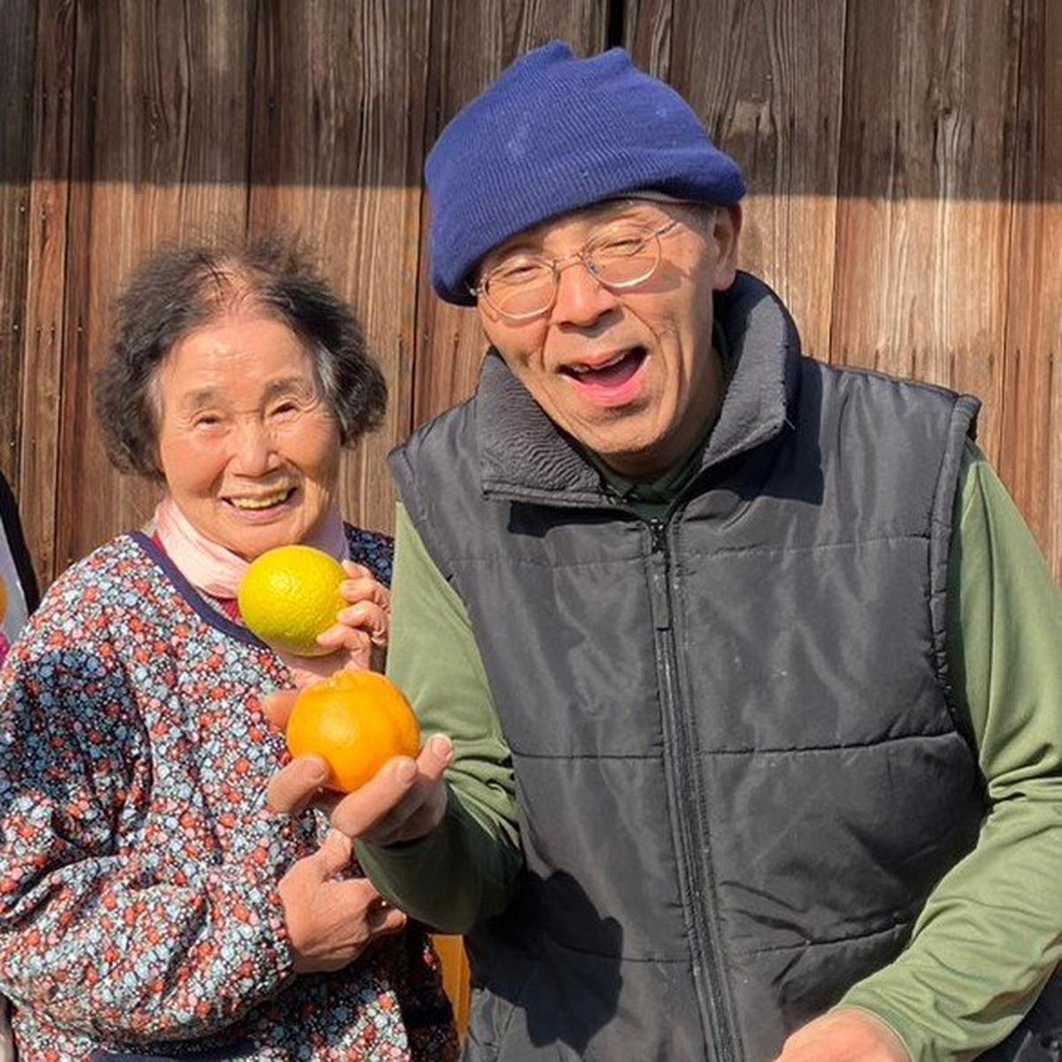 横峯オレンジのご紹介 | 鹿児島市 | 産直アウル 農家から直接野菜など