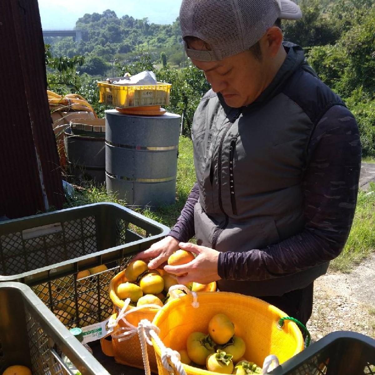 東谷農園（和歌山県・橋本市）｜生産者詳細｜産直アウル