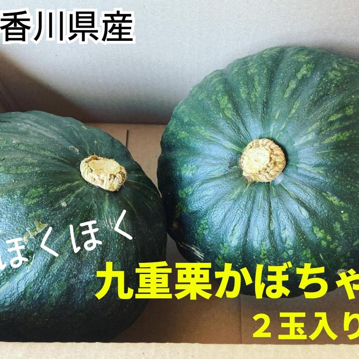 ツクモク農産の最新投稿「今年も九重栗かぼちゃの販売を始めました