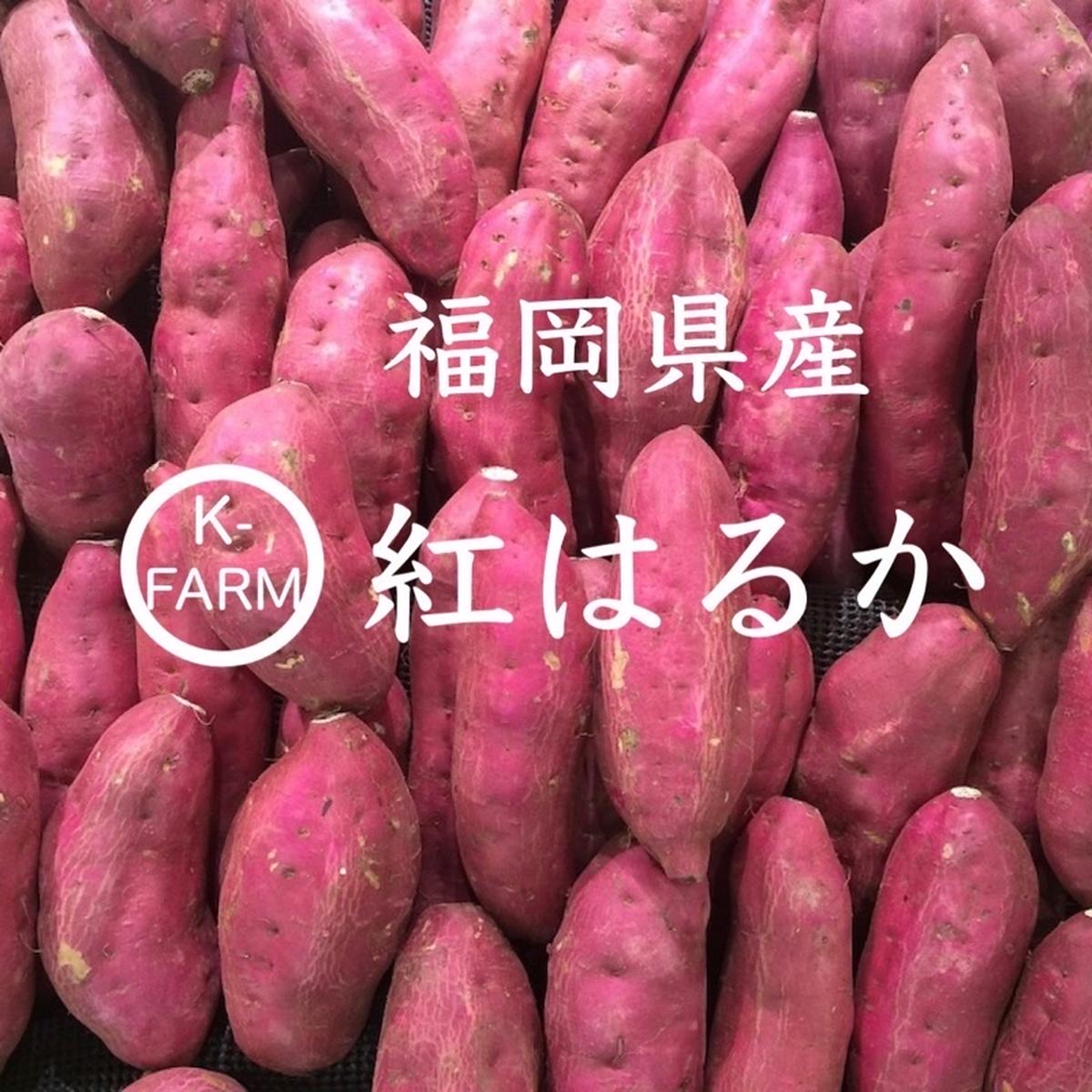 K-FARMのご紹介 | 久留米市 | 産直アウル 農家から直接野菜などの食材 