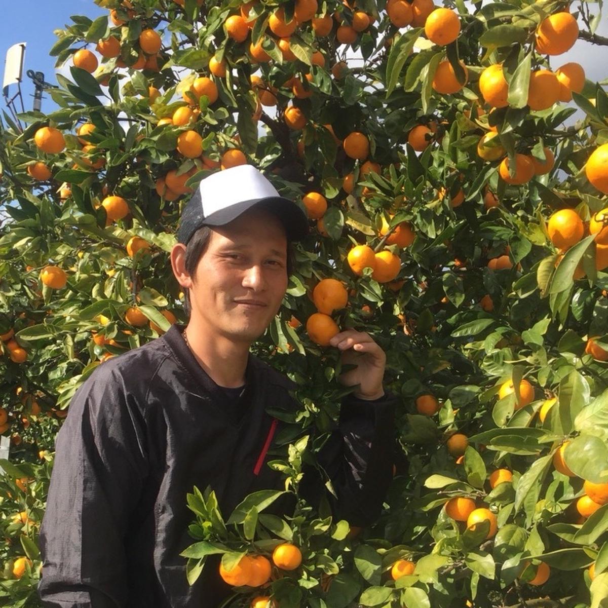 初売り旅行 高垣農園のご紹介 農家から直接野菜など 産直アウル | 田辺市 | 果物