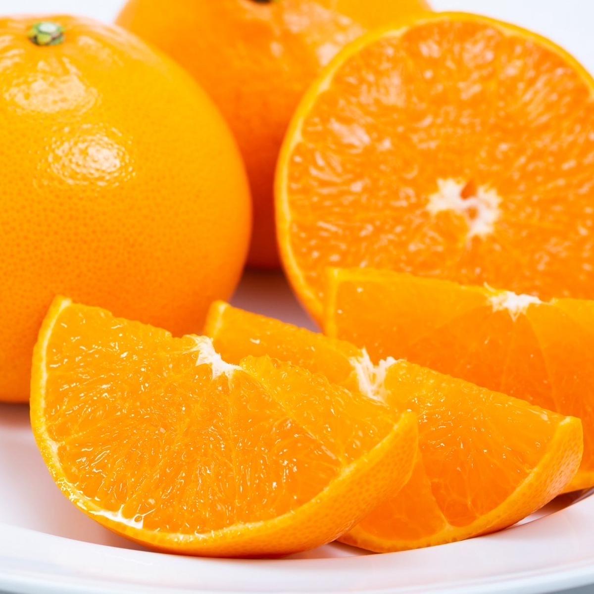 OrangeSto…の最新投稿「【柑橘の大トロ】せとかの収穫を開始