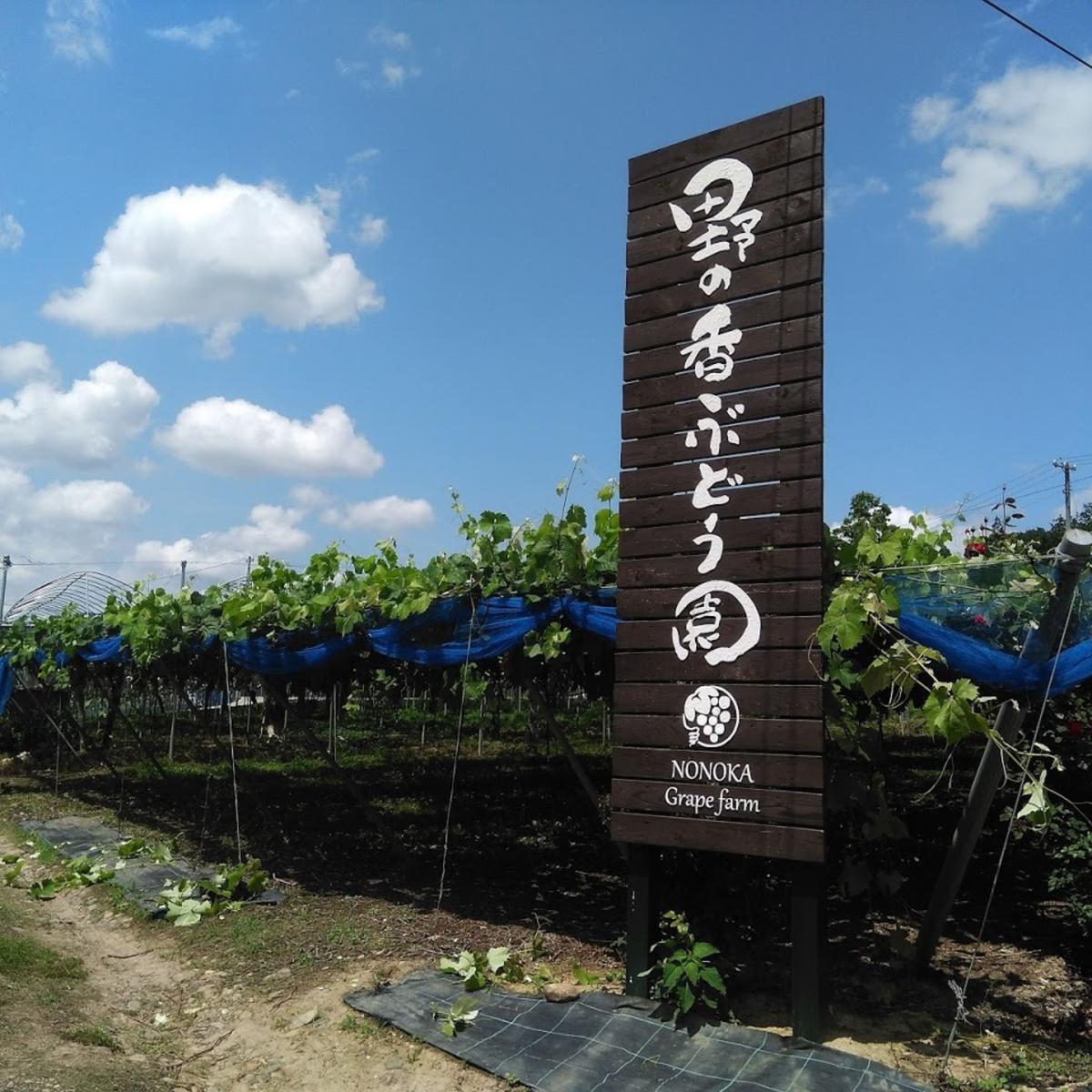 株式会社野の香（長野県・生坂村）｜生産者詳細｜産直アウル
