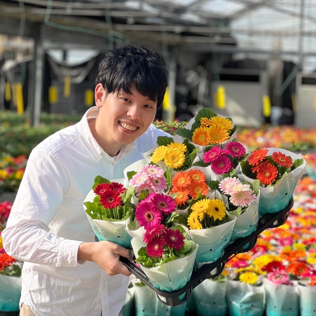 らいきブラハウス割烹着4着（くまさん、草花、ひつじさん、ガーベラ