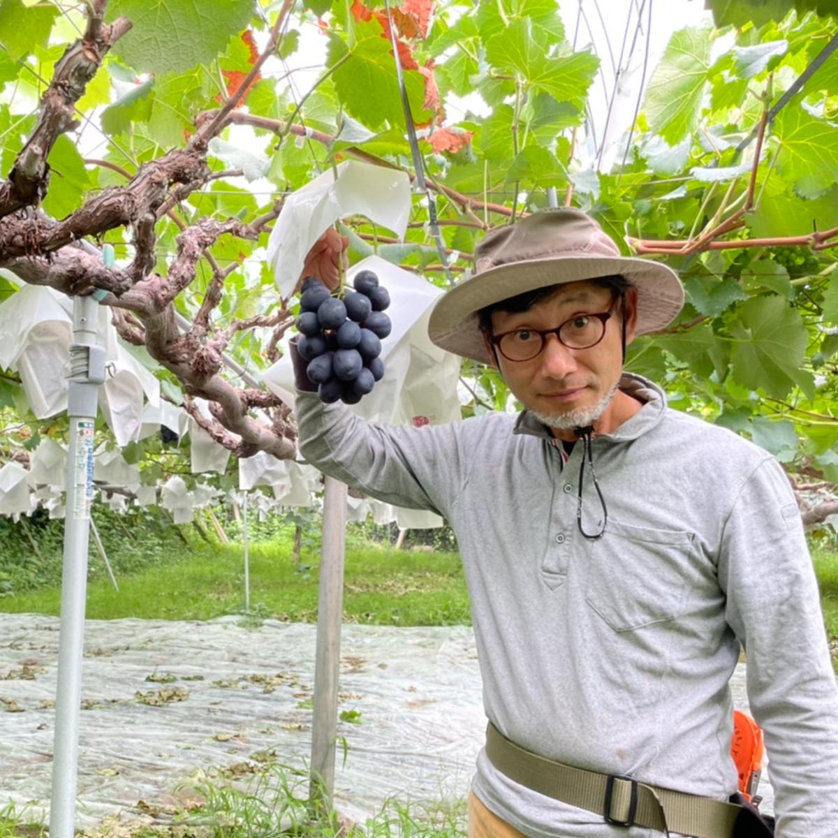 森山ぶどうファーム（長野県・上田市）｜生産者詳細｜産直アウル