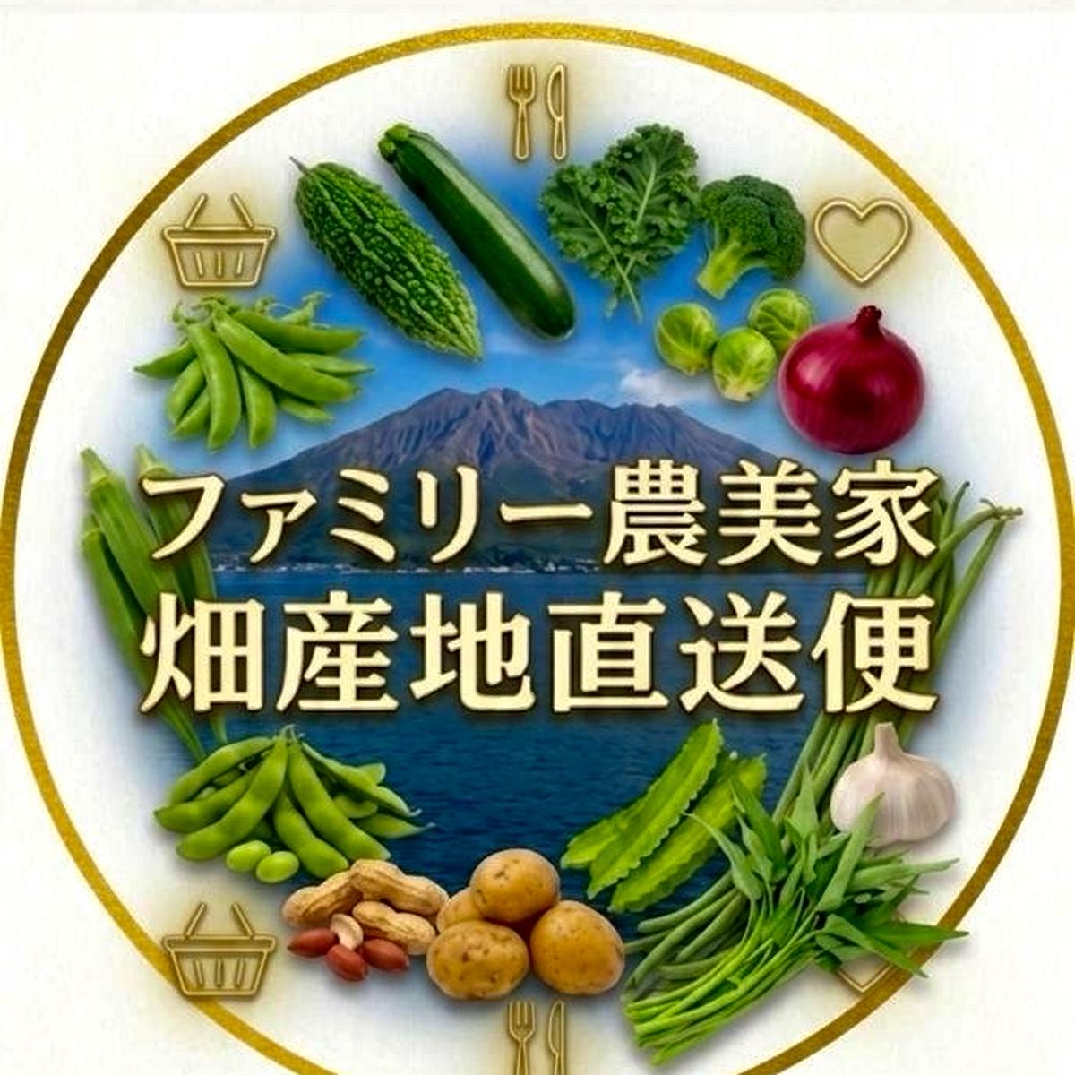 ファミリー農美家畑産地直送便様　オーダーページになります ファミリー農美家畑産地直送便（鹿児島県・垂水市）｜生産者詳細｜産直