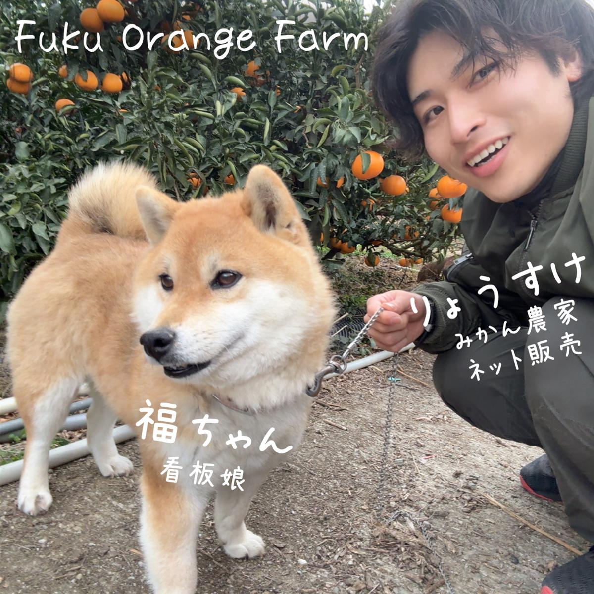 福オレンジファーム（愛媛県・八幡浜市）｜生産者詳細｜産直アウル