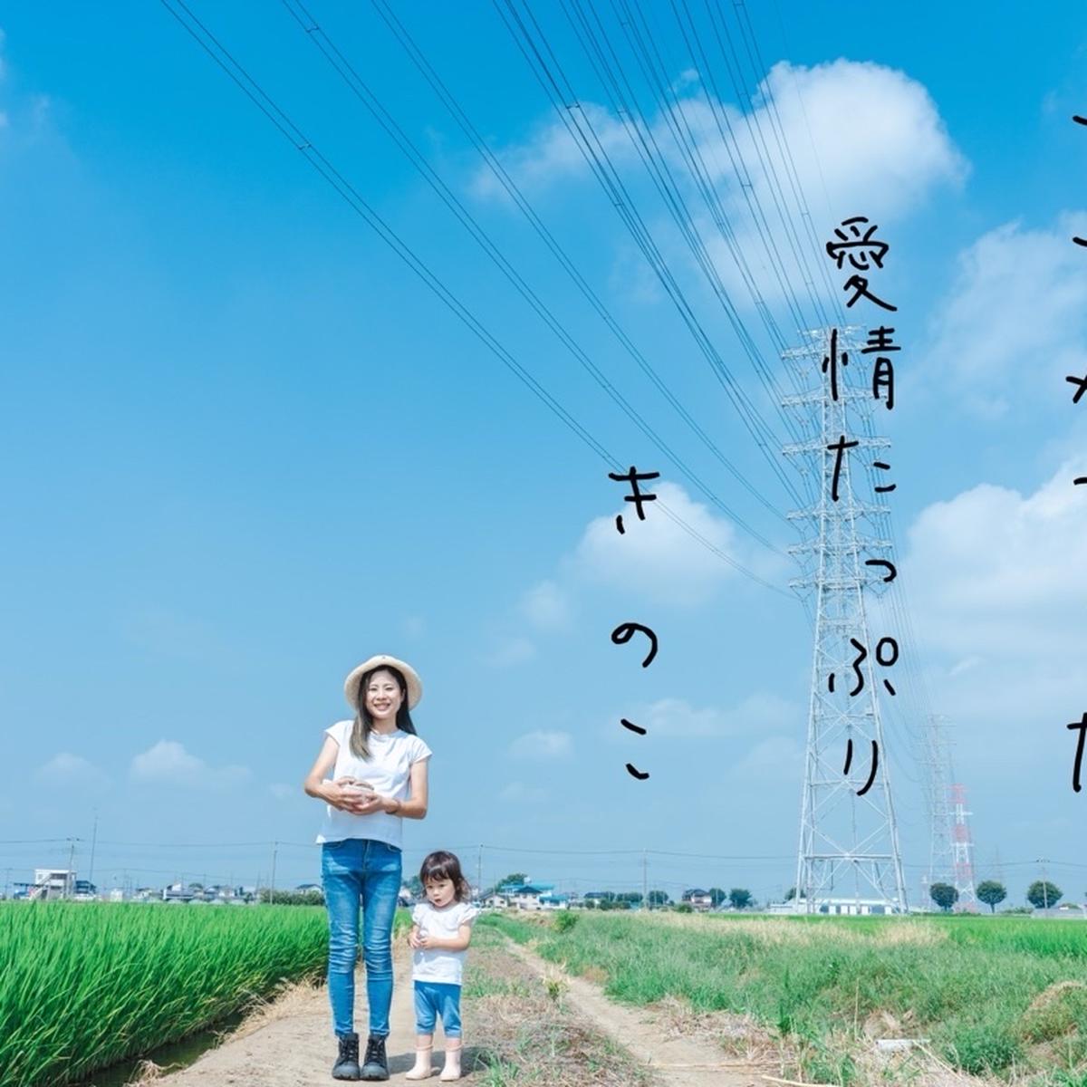 椎茸屋 JAみなみ魚沼 南魚沼産八色 (やいろ) 生しいたけ | G-Call