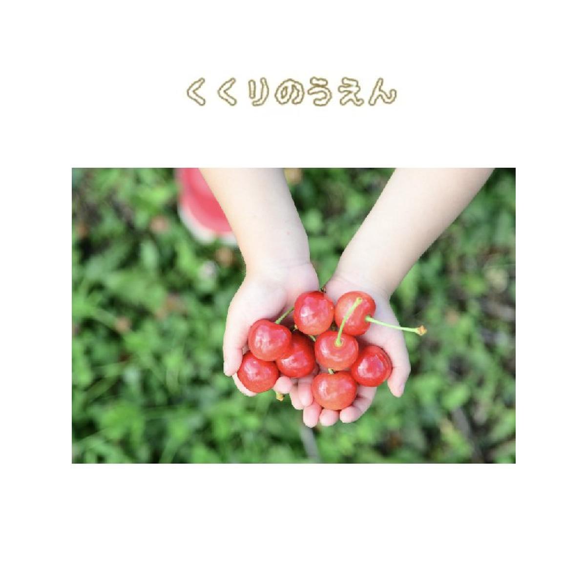 くくり農園のご紹介 | 仁木町 | 産直アウル 農家から直接野菜などの