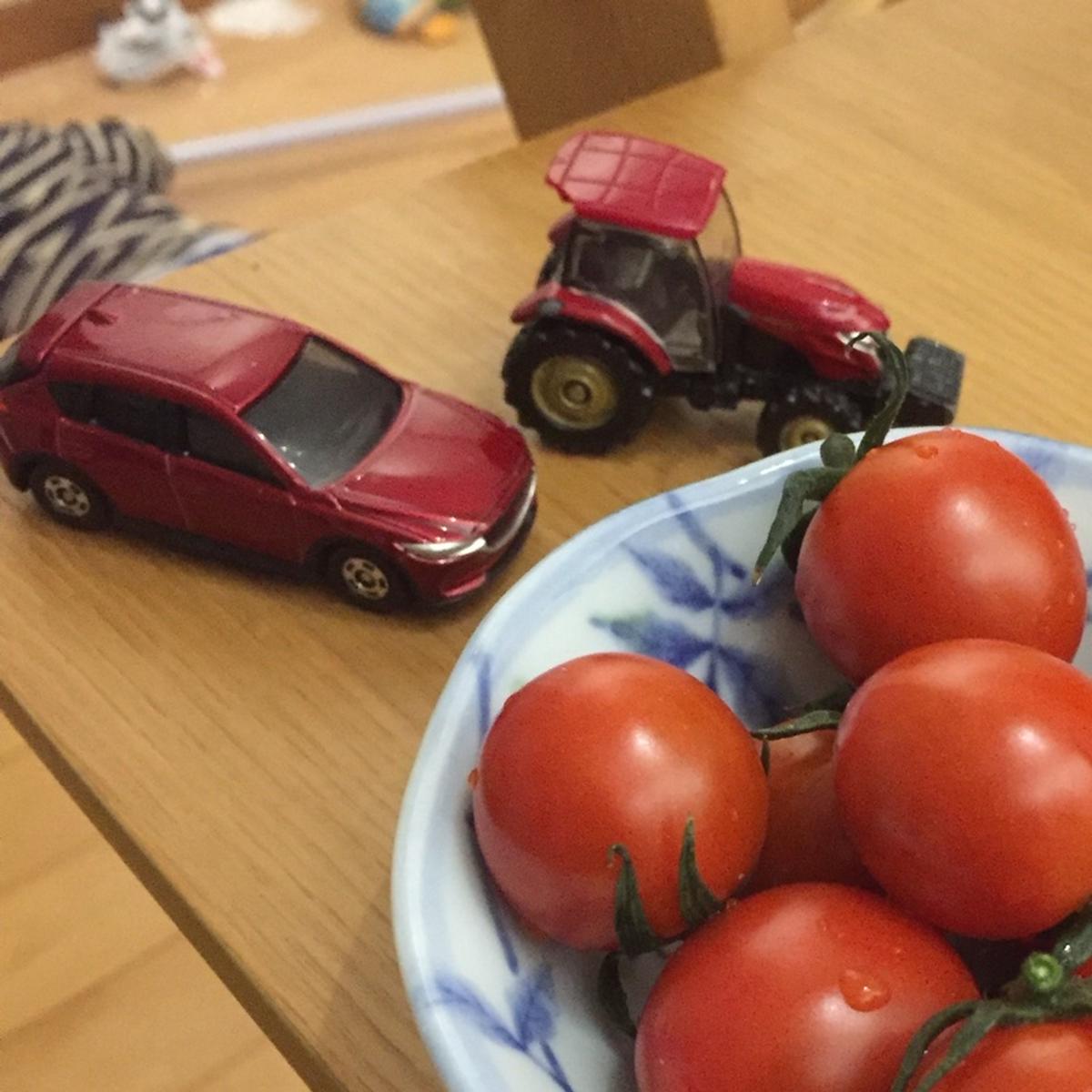 そらよかファーム（熊本県・天草市）｜生産者詳細｜産直アウル