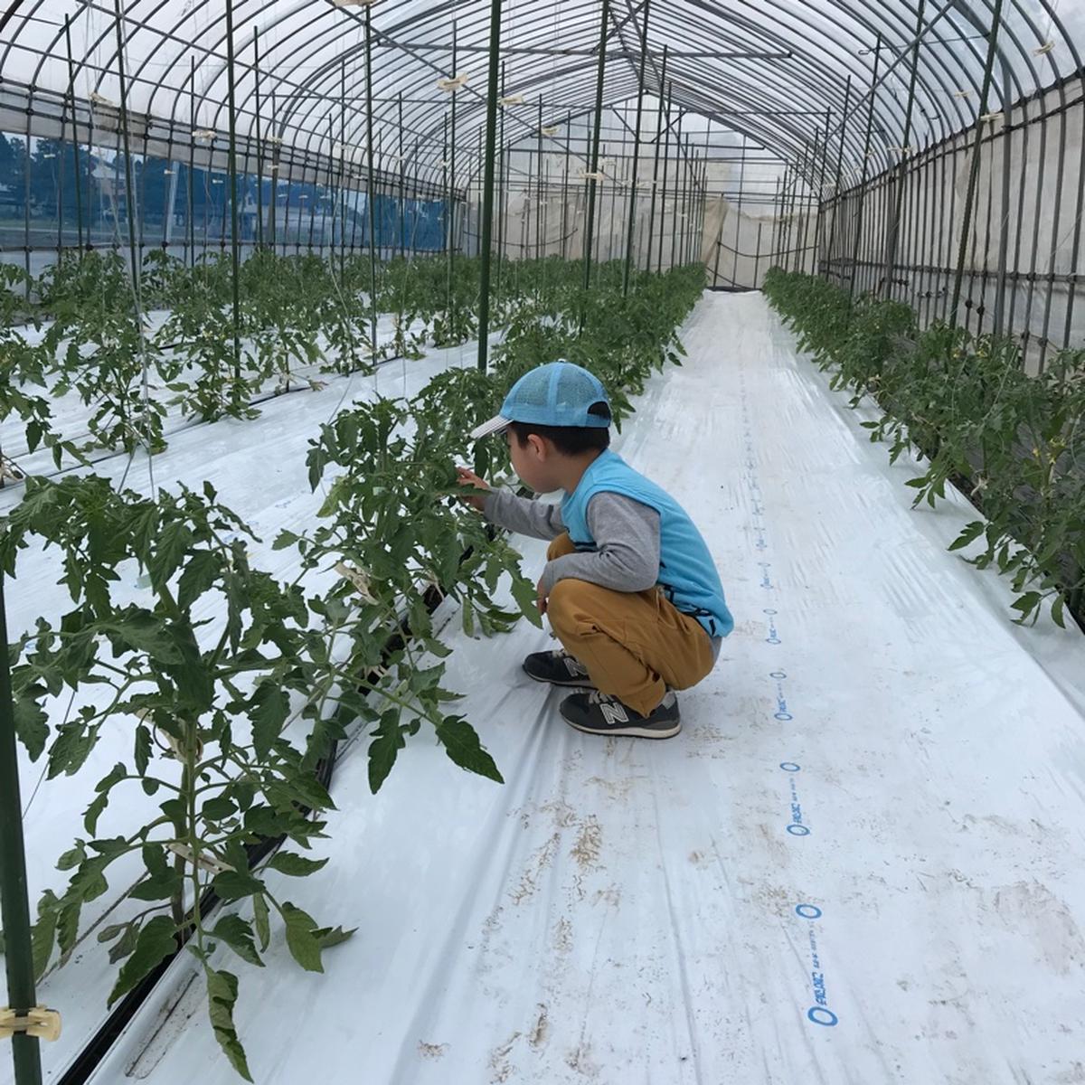 木村農園（秋田県・横手市）｜生産者詳細｜産直アウル