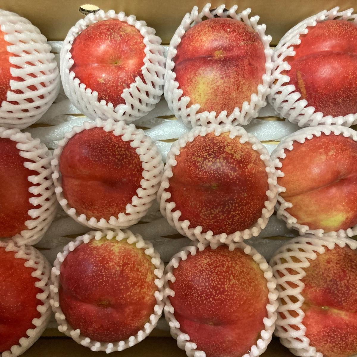 ふみともふぁーむさんがコミュニティ向けに「最終出品 ️ネ...」投稿しました 産直アウル