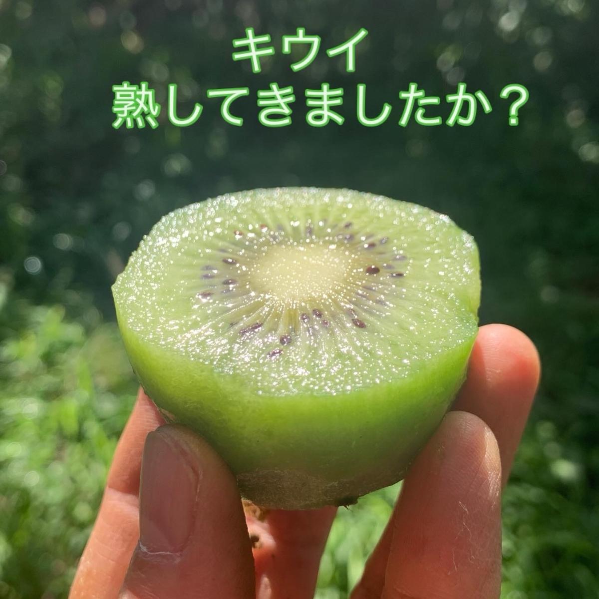 キーウィのもりさんがコミュニティ向けに「追熟すすんでい」投稿