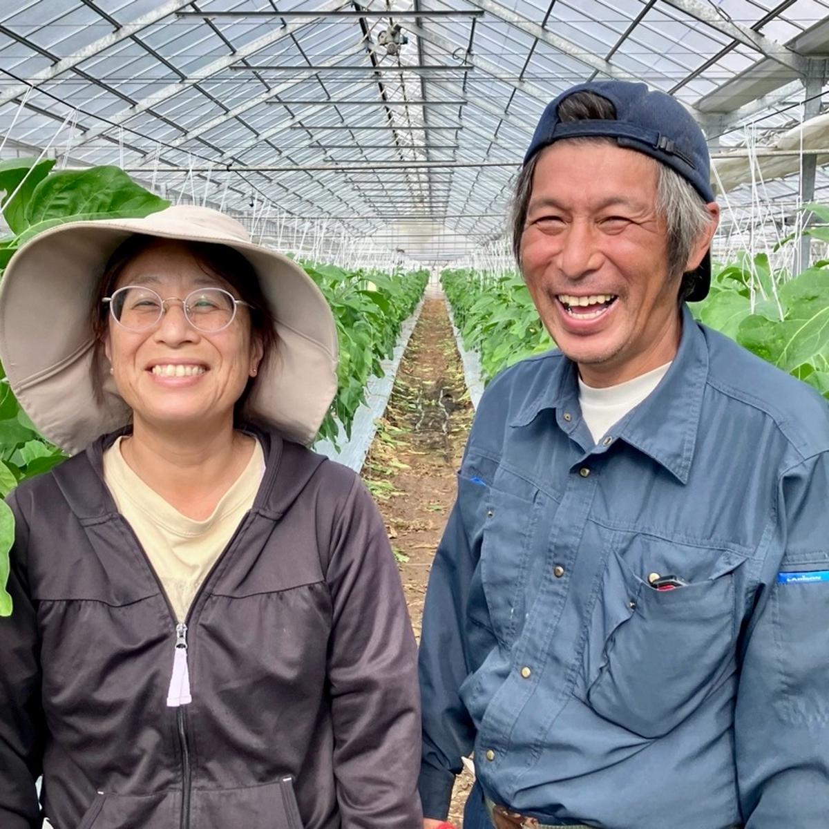 まる壱農園（高知県・芸西村）｜生産者詳細｜産直アウル