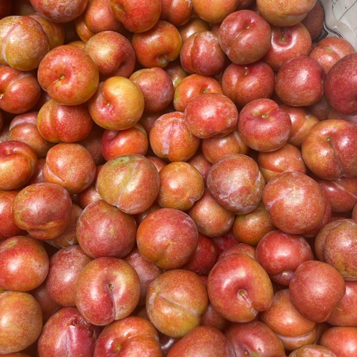 すもも 鹿児島産 無農薬10kg すもも 鹿児島産 無農薬 10kg