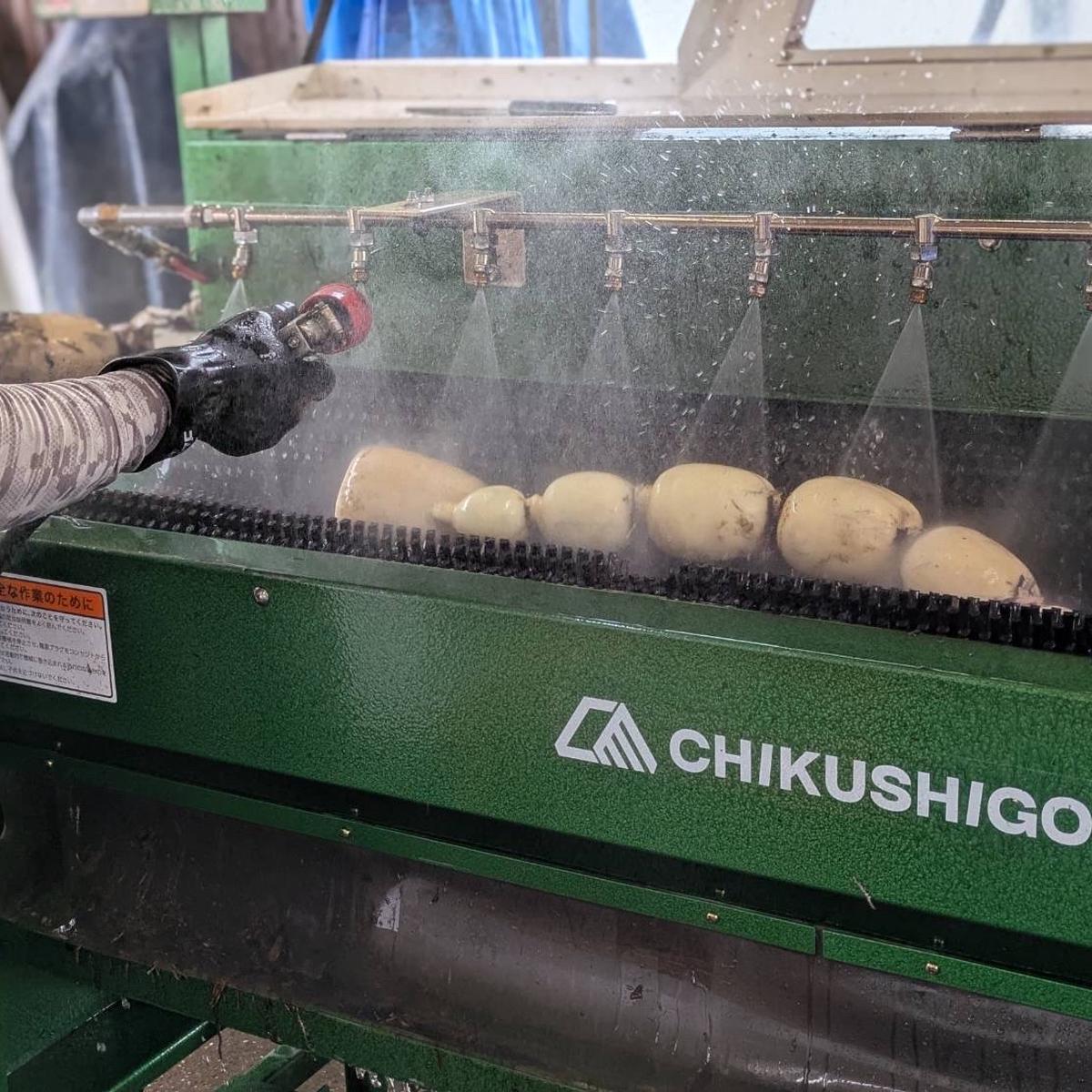 831c5218862fa16df5d2373fdb1572