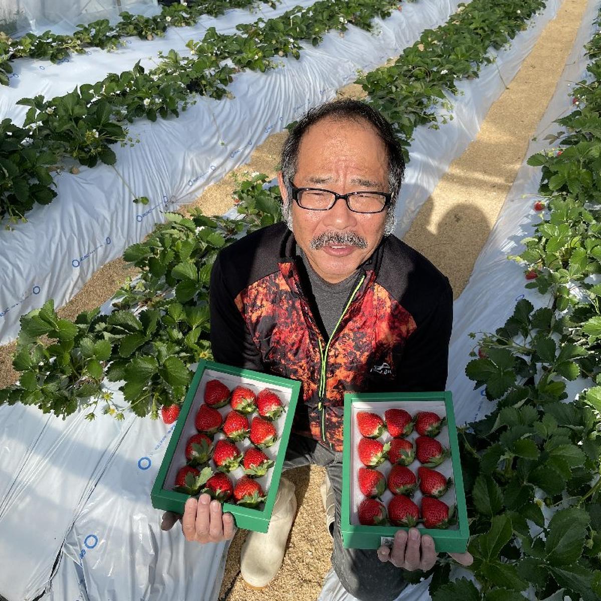 もも仙人　銅製 前田農園（和歌山県・紀の川市）｜生産者詳細｜産直アウル