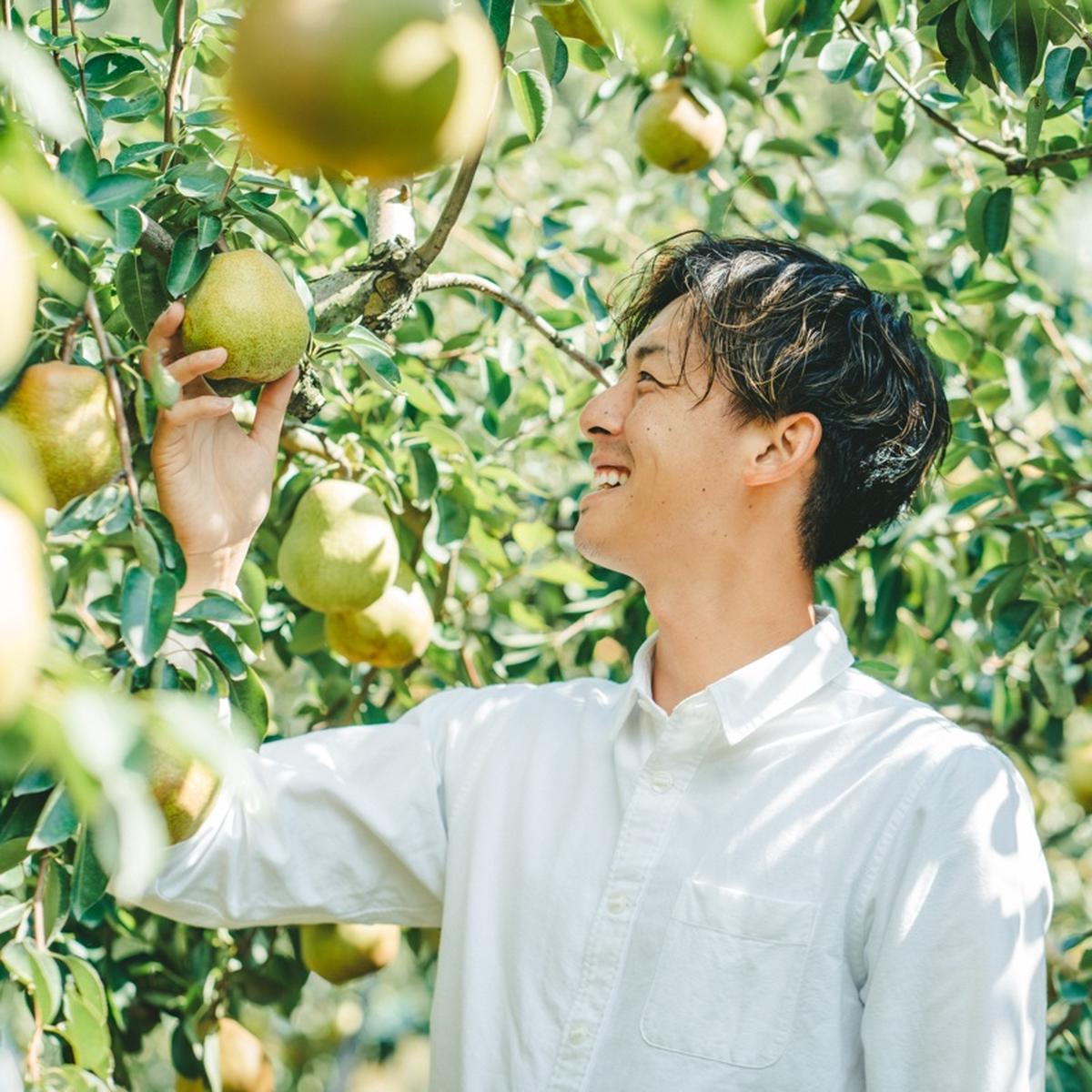 やまのカタチ（山形県・東根市）｜生産者詳細｜産直アウル