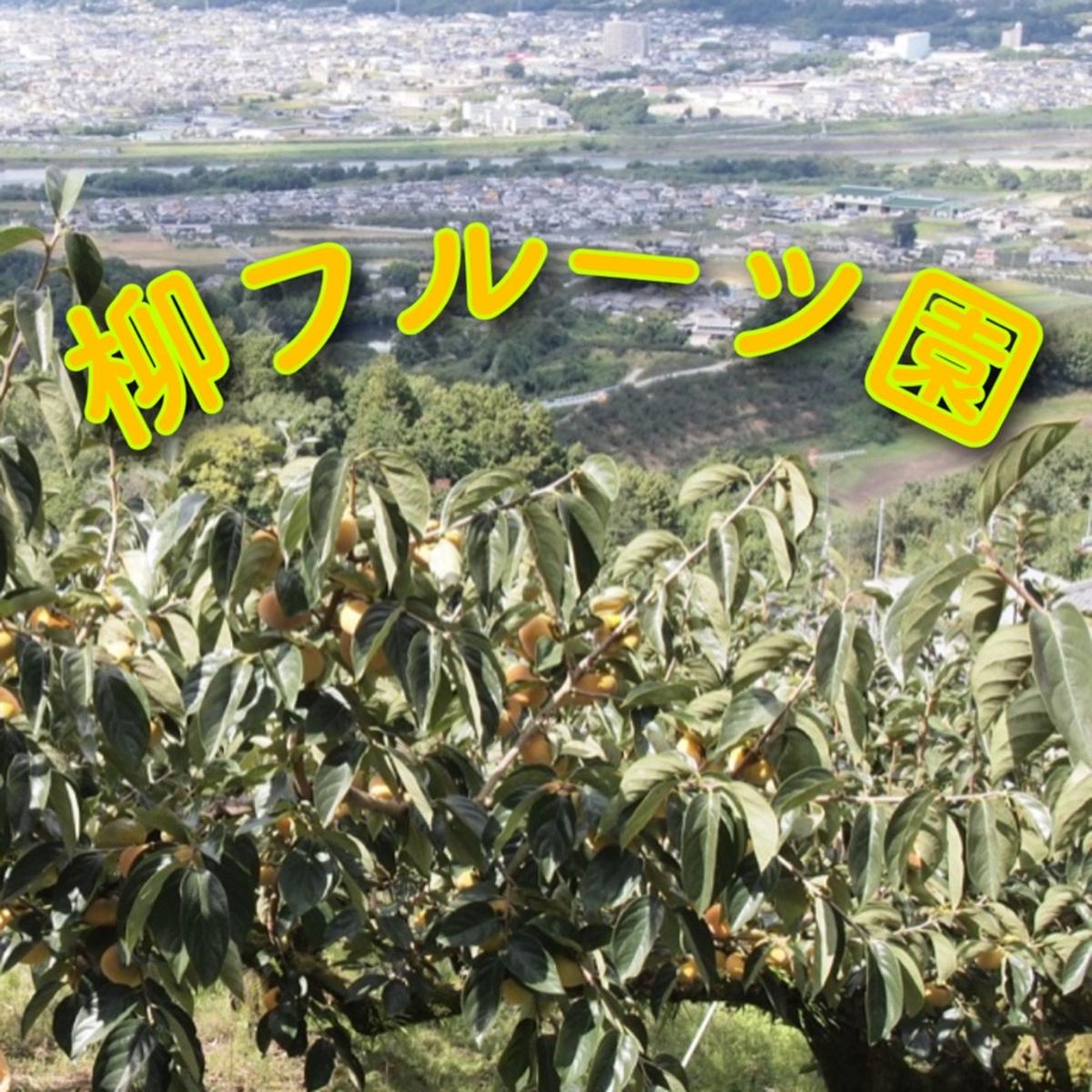 柳フルーツ園（和歌山県・橋本市）｜生産者詳細｜産直アウル