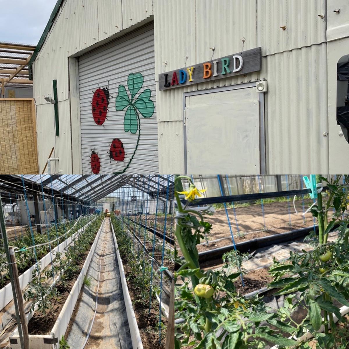 てんとうむし（兵庫県・三木市）｜生産者詳細｜産直アウル