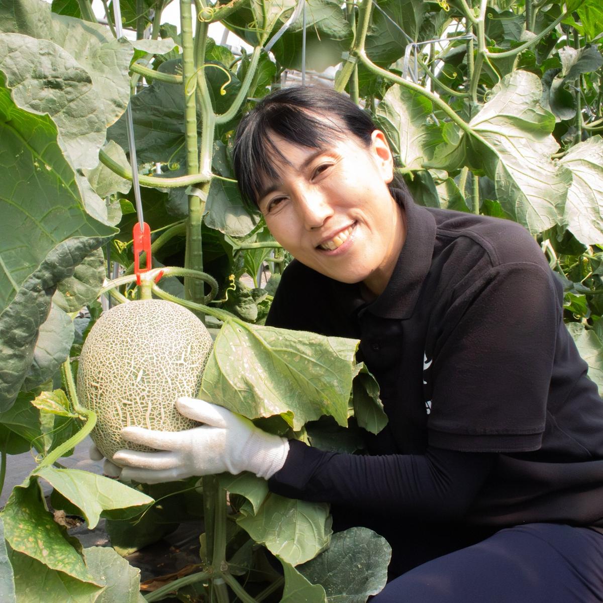 群馬県産　希少品種　紅の舞　クール便　農家直送　8kg はやしふぁーむ（群馬県・昭和村）｜生産者詳細｜産直アウル