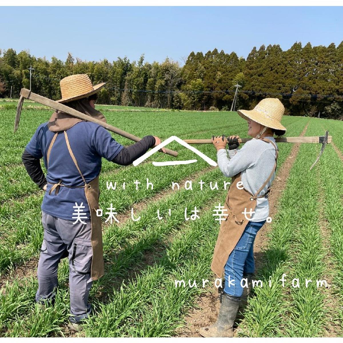 村上農園（熊本県・菊池市）｜生産者詳細｜産直アウル
