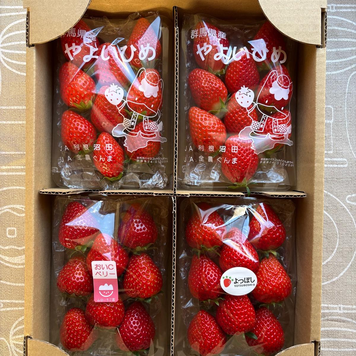 いちご 13500円 山口いちご園の最新投稿「いちご食べ比べがお安くなりました