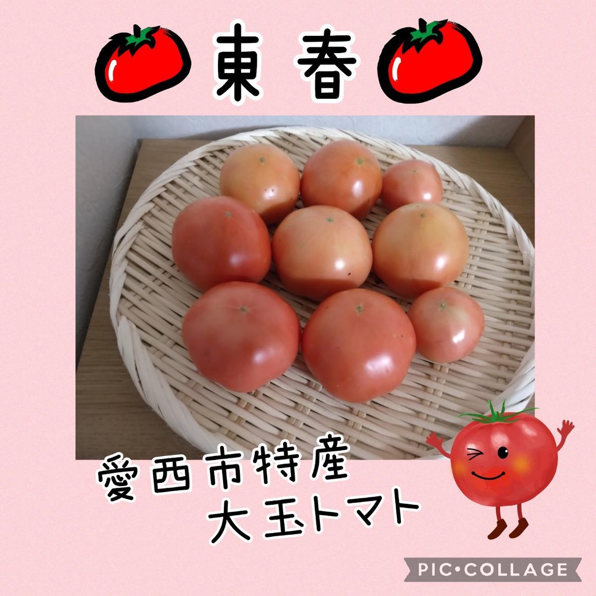 東春さんがコミュニティ向けに「発送方法及びサ...」投稿しました 産直アウル