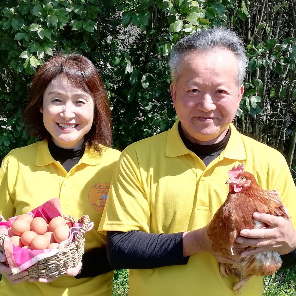 たまご工房さがら（熊本県・菊陽町）｜生産者詳細｜産直アウル