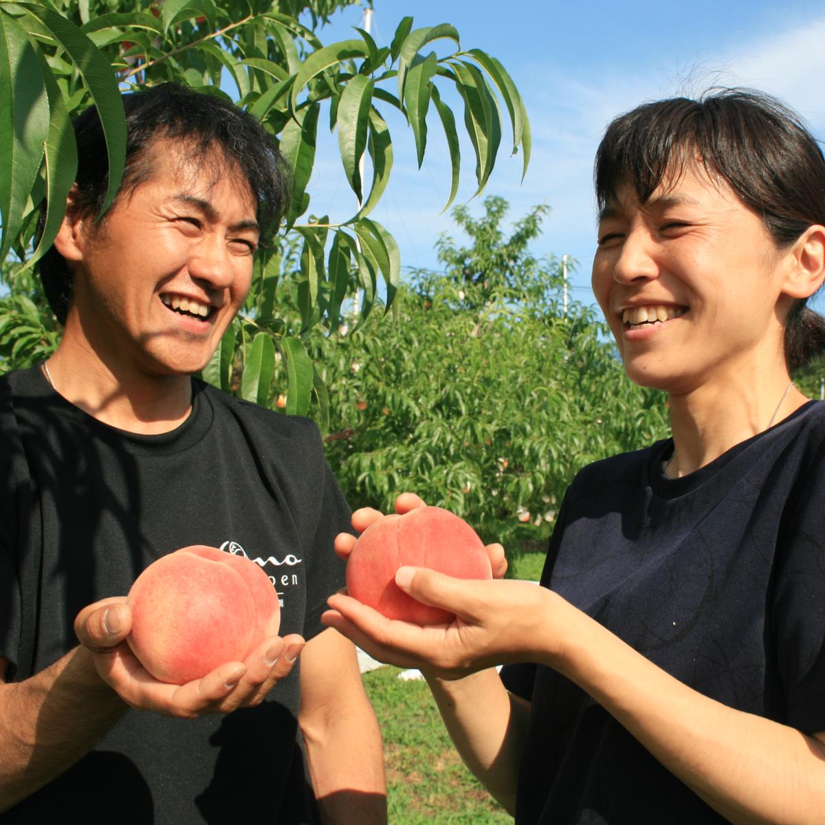 三ッ星桃農家 小野桃園のご紹介 山梨市 産直アウル 農家から直接野菜などの食材を購入できる産地直送の宅配通販サイト