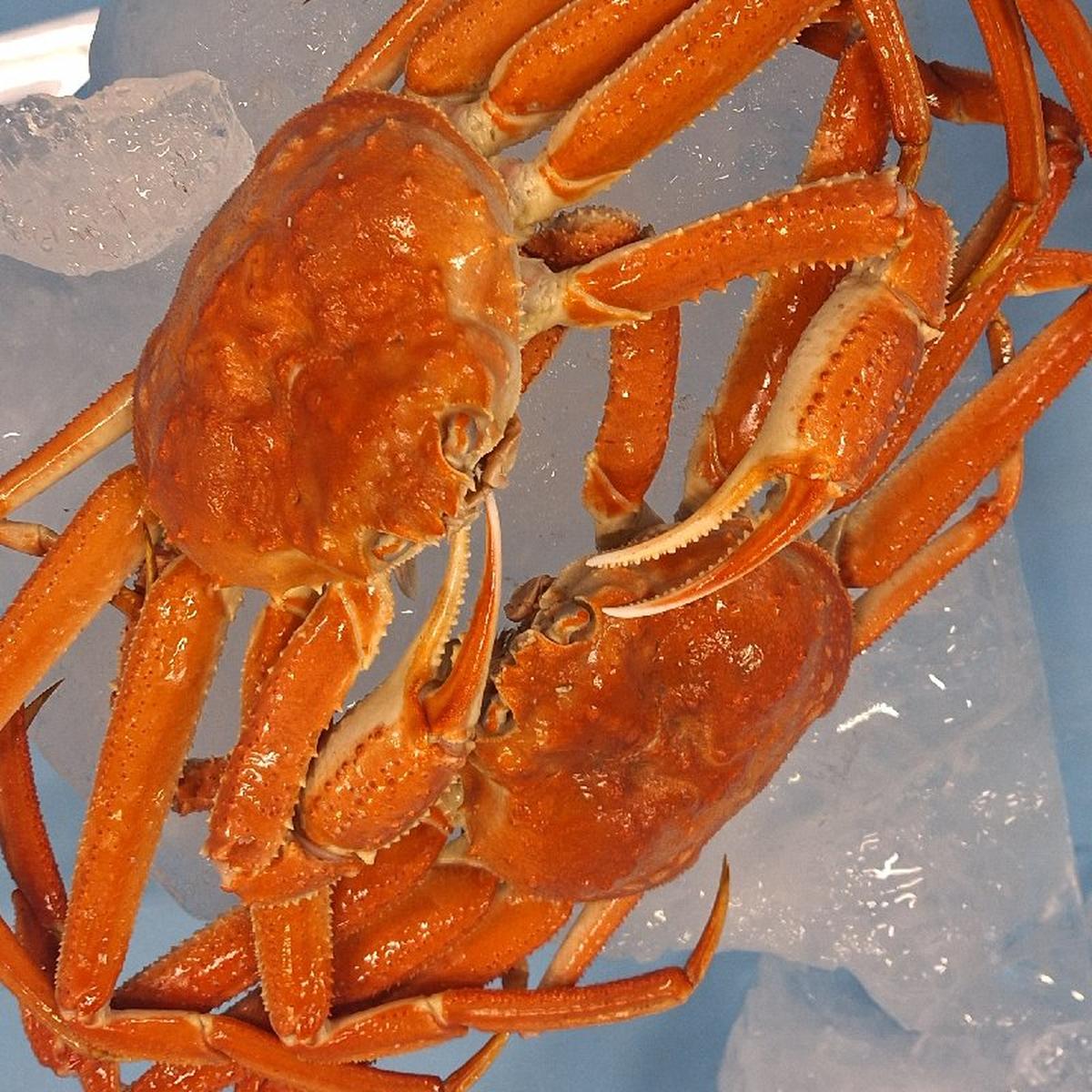 眞鍋商店（北海道・森町）｜生産者詳細｜産直アウル