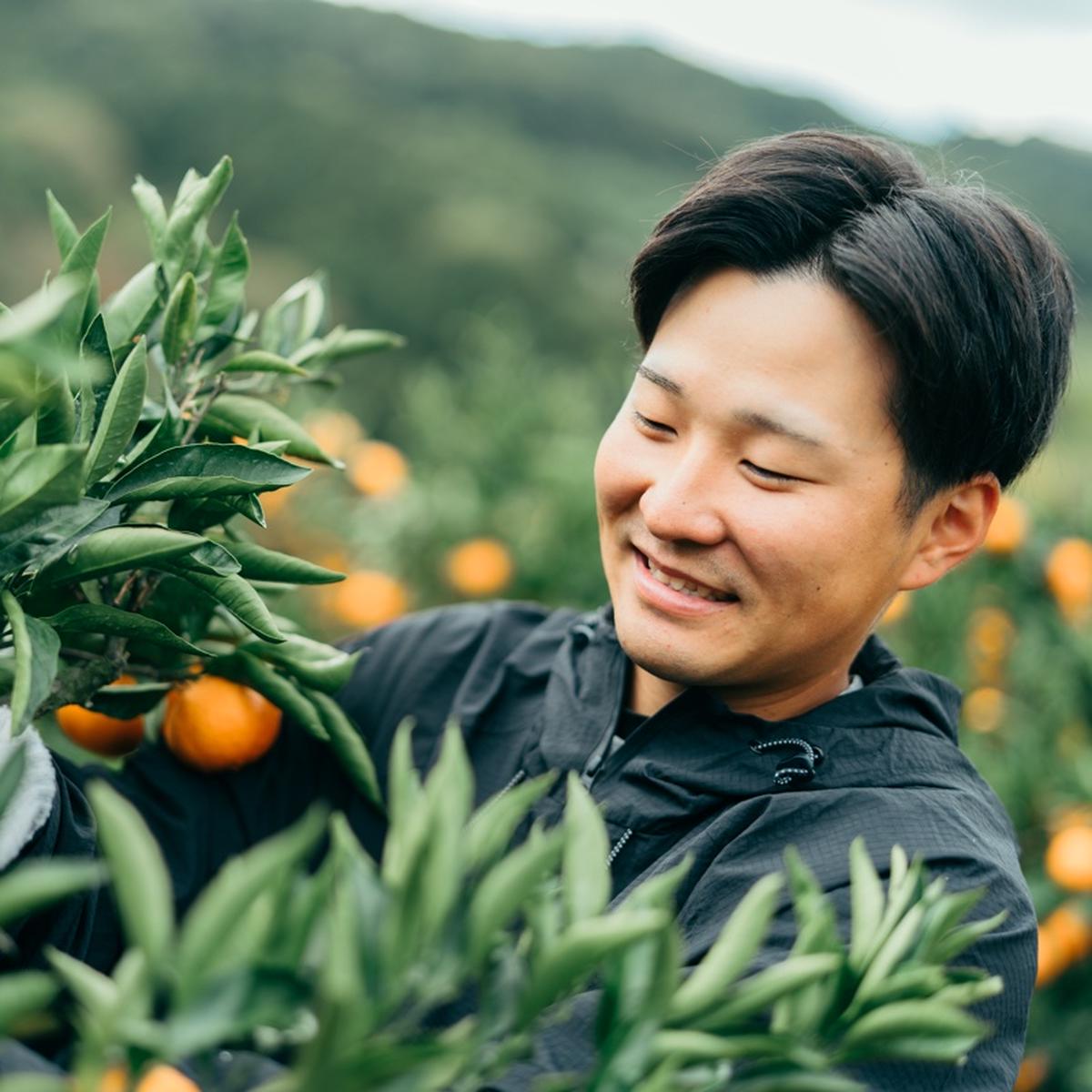 ニノミヤファームのご紹介 | 八幡浜市 | 産直アウル 農家から直接野菜