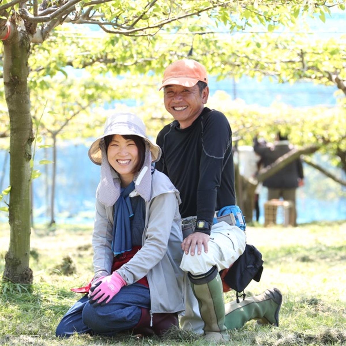 久和田農園のご紹介 三原市 産直アウル Owl 農家から直接野菜などの食材を購入できる産地直送の宅配通販サイト