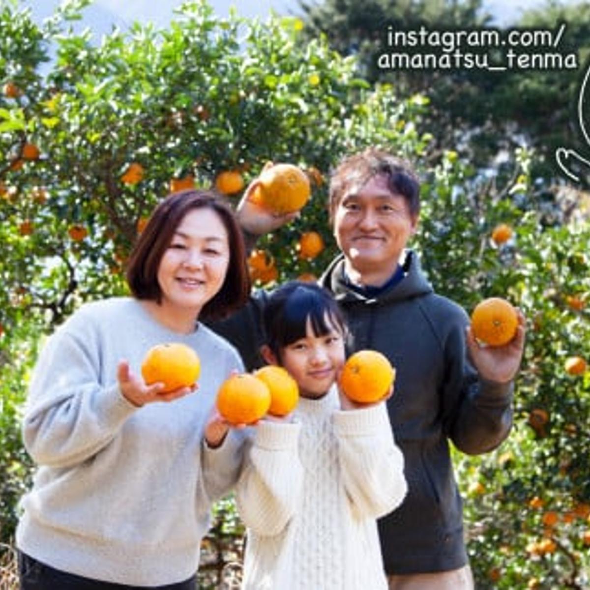 Amanatsu Tenma Farm（三重県・尾鷲市）｜生産者詳細｜産直アウル