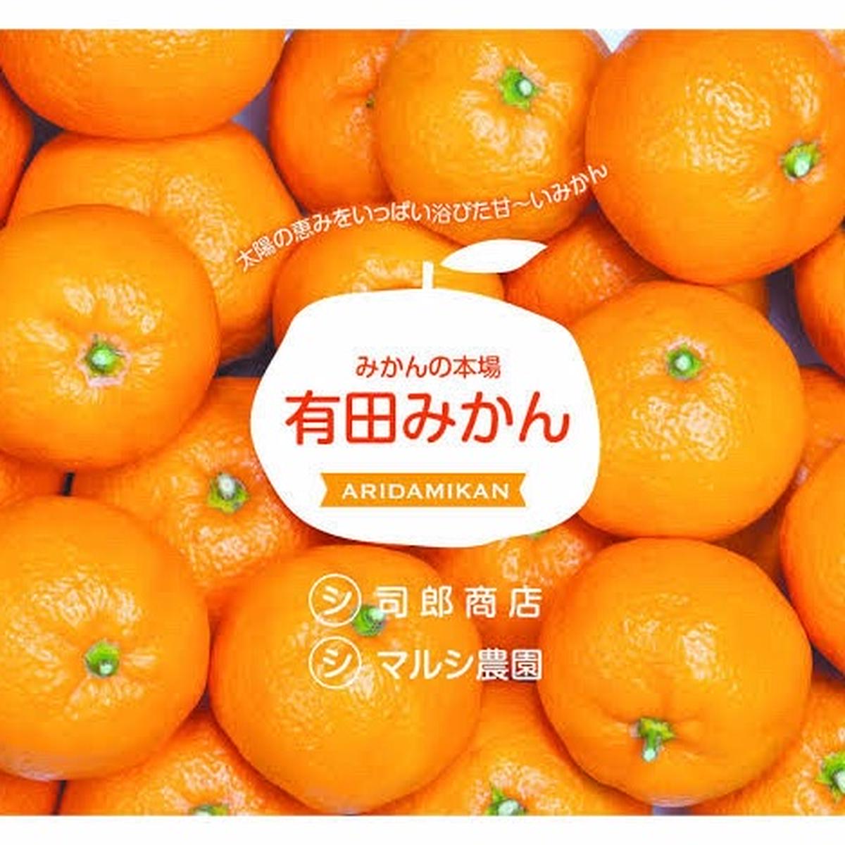 fe16512443e02da90943ebbddb2162