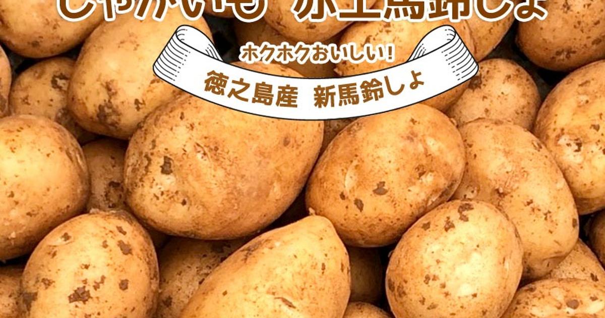 takachihaさんが 南国の恵み徳之島恵実菜園 の 新じゃがいも