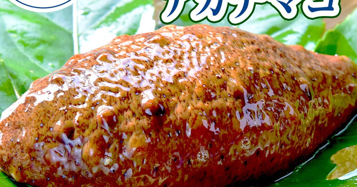 ナマコ（山口県・周防大島 青年漁師団）の口コミ・レビュー | 産直アウル