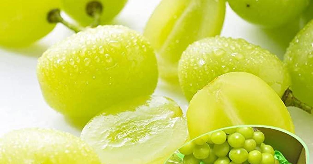 かおりんさんが くまもと食彩の力 の 【予約販売 7月下旬～】 九州産