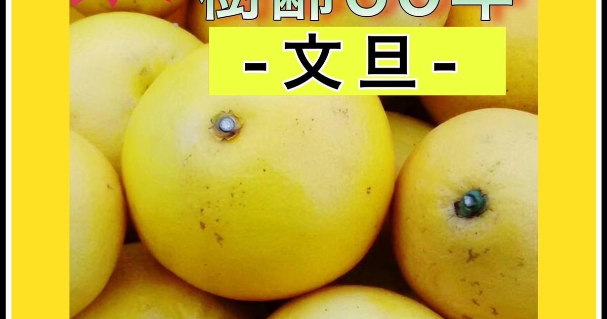 ミッチー の おみかん畑&#39;s shop様確認用 ミッチー の おみかん畑 / 全商品