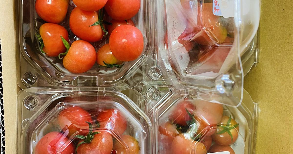 古着屋トマト おかざき農園 – こうちBOX